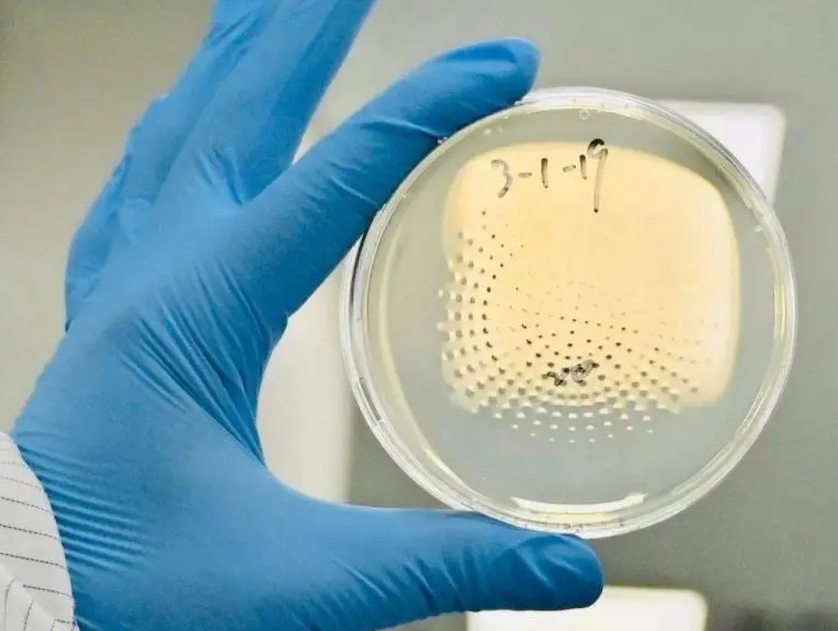 上海環境檢測咨詢服務有限公司 上海環境檢測咨詢服務有限公司